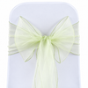 Sage Green Organza Sash 23cm
