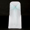 AQUA ORGANZA SASH 23cm