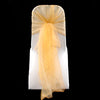 GOLD ORGANZA HOOD