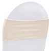 Ivory Sequin Chair Band