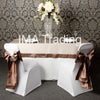 Mocha Taffeta Border Organza Overlay