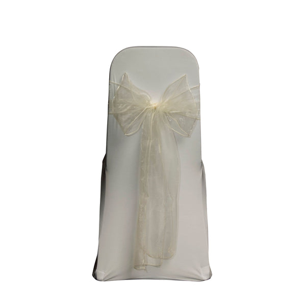 NATURAL SHIMMER ORGANZA SASH 23cm