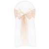 Nude Lace Sashes - WAS £1.30!