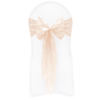 Nude Lace Sashes - WAS £1.30!