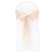 Nude Lace Sashes - WAS £1.30!
