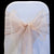 NUDE ORGANZA SASH 23cm