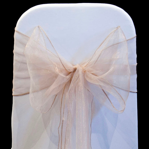 NUDE ORGANZA SASH 23cm