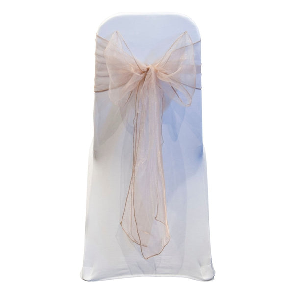 NUDE ORGANZA SASH 23cm