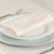 Nude Polyester Napkin