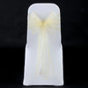 PALE LEMON ORGANZA SASH 23cm