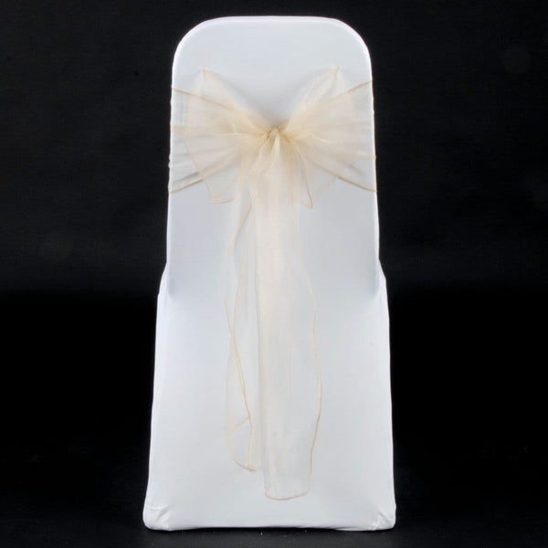 SANDSTONE ORGANZA SASH 23cm