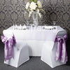 Violet Organza Overlay