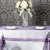 Violet Taffeta Border Organza Overlay