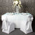Aqua Organza Overlay