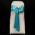 AQUA SATIN SASH