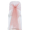 BLUSH PINK ORGANZA HOOD
