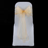 CHAMPAGNE GOLD ORGANZA SASH 23cm