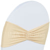 Champagne Ruffled Spandex Lycra Band