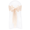 Nude Lace Sashes - WAS £1.30!
