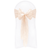 Nude Lace Sashes - WAS £1.30!