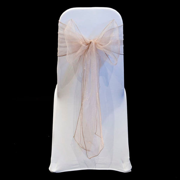NUDE ORGANZA SASH 23cm