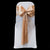 PALE MOCHA SATIN SASH