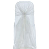PALE SILVER ORGANZA HOOD