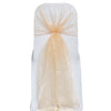 PEACH ORGANZA HOOD