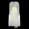 SAGE GREEN ORGANZA HOOD
