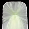 SAGE GREEN ORGANZA HOOD