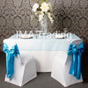Turquoise Organza Overlay